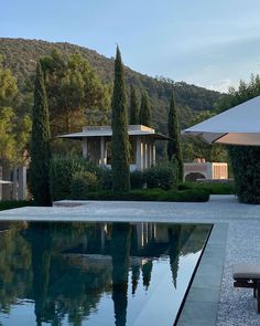 an outdoor swimming pool surrounded by trees and bushes