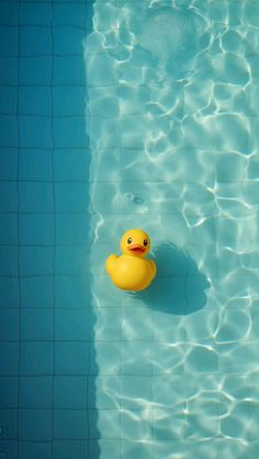 a rubber duck floating in a swimming pool