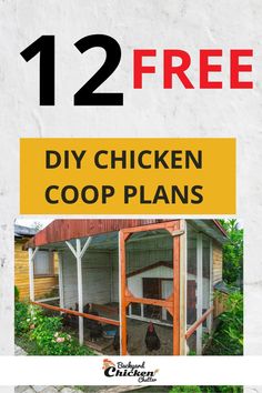 a chicken coop with the words 12 free diy chicken coop plans on it's side