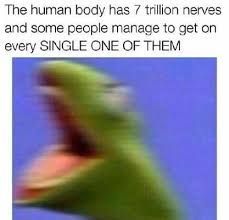 a blurry photo of a frog's face with the caption that reads, the human body has 7 trillions and some people manage to get on every single one of them