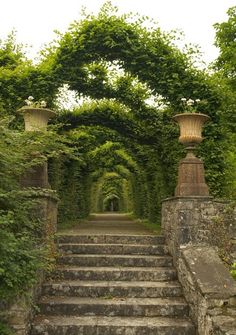 an archway with steps leading up to it and plants growing on the sides, along with stone stairs in between them