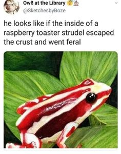 a red and white frog sitting on top of a green leafy plant with the caption'he looks like if the inside of a raspberry toaster studel escape escaped by the crust and went feal