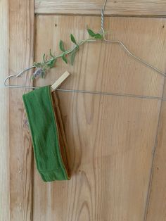 a green cloth hanging on a clothes line next to a wooden door with a plant growing out of it