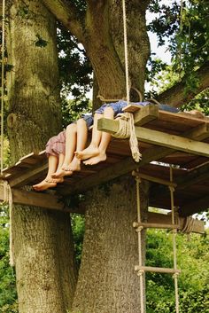 two children are sitting on a tree swing