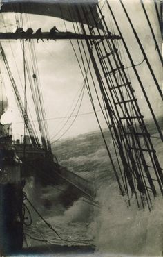 an image of a boat in the ocean with birds on it's masts