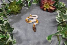 a white and yellow snake laying on top of a table next to plants with green leaves