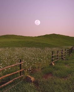 a fence in the middle of a field with flowers on it and a full moon