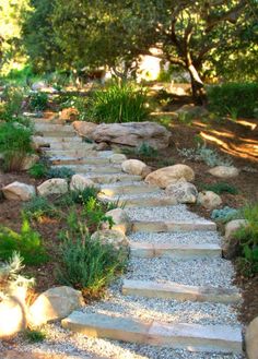 a stone path in the middle of a garden