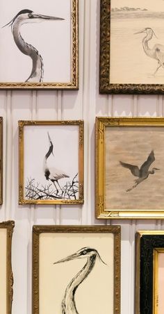 several framed pictures are hanging on the wall next to each other with birds painted on them