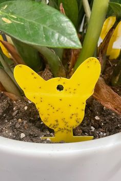 a small yellow bird sitting in a potted plant