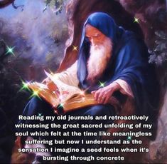 an old man sitting in a tree reading a book with the words reading my old journals and retraactively witnessing the great sacred unfolding of my soul which felt