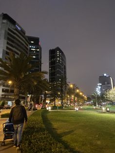 a man walking down a sidewalk with a stroller next to the grass and palm trees