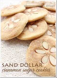 sand dollar cinnamon sugar cookies - very cute Hawaiian Party Food, Sand Dollar Cookies, Best Snickerdoodle Cookies, Cinnamon Sugar Cookies, Cinnamon Cookies, Snicker Doodle Cookies, Snickerdoodle Cookie Recipes, Pita Chips, Baby Shower Cookies