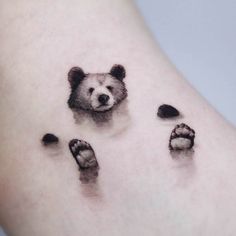 a bear's paw and foot prints on the ankle