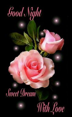 two pink roses on a black background with the words good night sweet dream written below