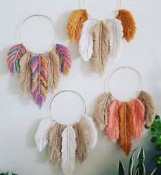 three hoops with feathers hanging from them on a wall next to a potted plant