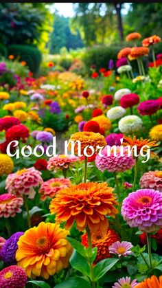 colorful flowers with the words good morning written in white on top and bottom right corner