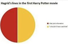 a pie chart with the words harry potter written in red, yellow and blue on it
