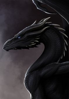 a black dragon with blue eyes is standing in front of a dark sky and clouds