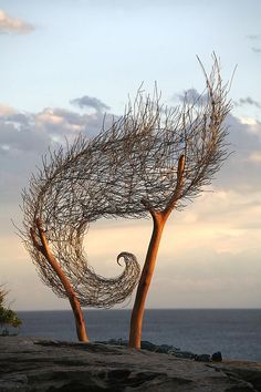 two sculptures made out of branches on top of a hill near the ocean with clouds in the background