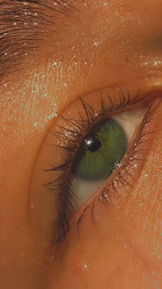 Pretty Green Eyes Aesthetic, Green Eyes In Sunlight, Green Eyes In The Sun, Emerald Green Eyes Aesthetic, Aesthetic Eye Photos, Lauracore Aesthetic, Dark Green Eyes Aesthetic, Pretty Eyes Aesthetic, Green Eye Aesthetic