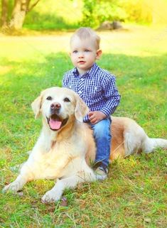 a little boy sitting on top of a yellow dog in the grass with his tongue hanging out