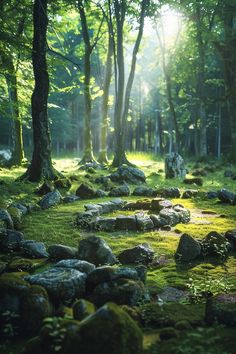 the sun shines through the trees and rocks in the forest, making it appear to be covered with moss