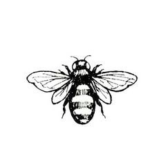 a black and white drawing of a bee