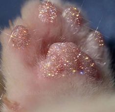 Meu Arte Glitter, Flot Makeup, Glitter Photography, Cele Mai Drăguțe Animale, Business Model Canvas, Boujee Aesthetic, Glitter Letters, Photo Chat, Pastel Pink Aesthetic