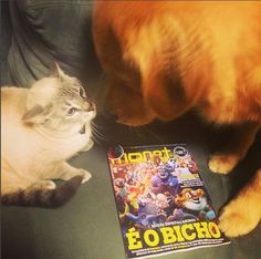 a cat is looking at a comic book on the floor next to it's owner