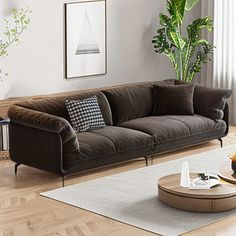 a living room with a couch, coffee table and potted plant in the corner