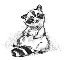 a drawing of a raccoon sitting on the ground