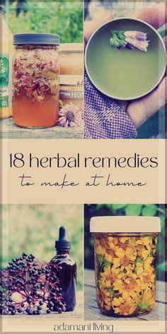 Herb Remedies, Medicinal Herbs Remedies, Medicine Recipes, Herb Tinctures, Tinctures Recipes, Herbal Medicine Recipes, Herbal Remedies Recipes, Medicinal Herbs Garden, Diy Herbal Remedies