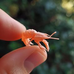 a tiny orange origami insect sitting on top of someone's finger