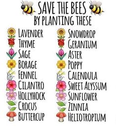 the words save the bees by planting these in different font styles and colors, along with flowers