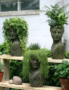 three stone heads with plants growing out of them on a wooden shelf in front of some potted plants