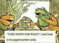 two frogs sitting at a table with a sign saying turn down for what greed toad as the