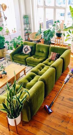 a living room filled with green couches and potted plants on top of wooden floors