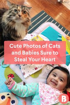 There’s no denying your kiddo and their kitty make the *purr*-fect pair, and these pictures prove it. Funny Babies, Cats And Babies, Photos Of Babies, Happy Family Photos, Boo Board, Photos Of Cats, Pet Cats, Prove It