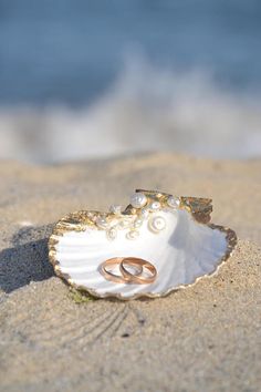 two wedding rings are placed in a shell on the beach