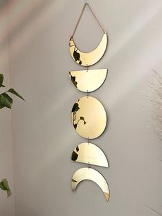 three circular mirrors hanging on the wall next to a plant