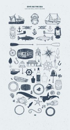 an image of various items in the shape of a circle