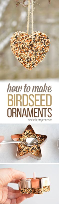 bird seed feeder with instructions to make birdseed ornaments