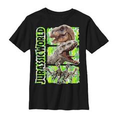 a black t - shirt with an image of dinosaurs on it