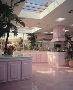 a large kitchen with pink cabinets and white counter tops, potted plants on the island