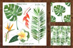 watercolor painting with tropical leaves and flowers