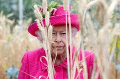 an older woman wearing a bright pink outfit and hat in a field with tall grass