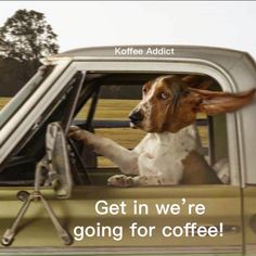 a brown and white dog sitting in the drivers seat of a truck with its paw on the window