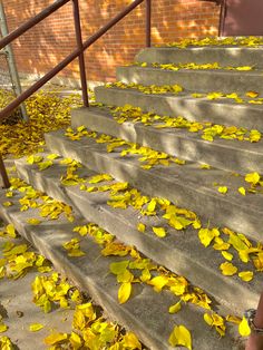 stairs with yellow leaves on the steps