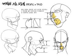 an image of the face and head of a man with different facial types in korean